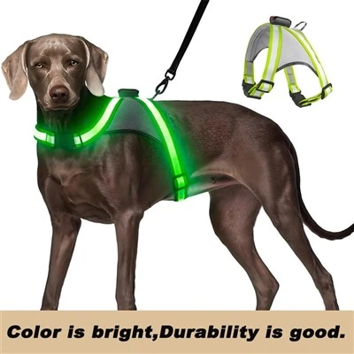LED hundesele, USB oppladbar